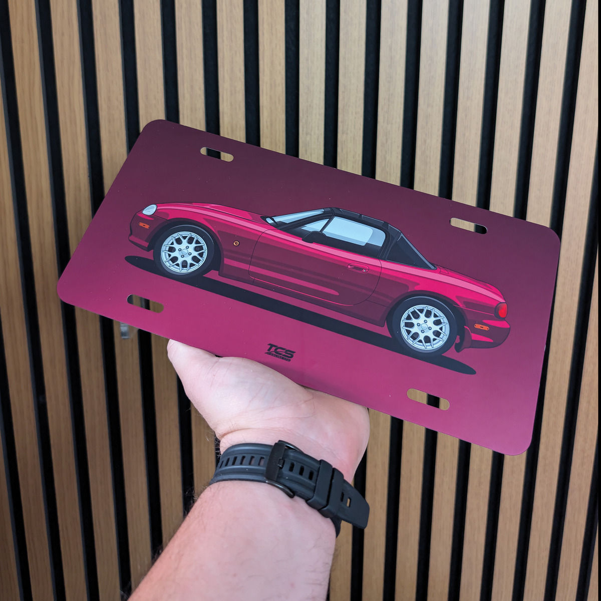 Custom Drawn Car Licence Plate Art